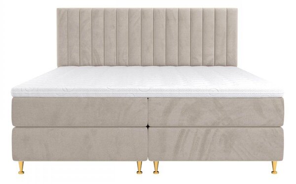 Z0ND0 Pat matrimonial Boxspring 140 cm Rondel (fresh 01). 1054088