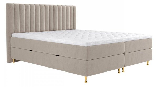 Z0ND0 Pat matrimonial Boxspring 140 cm Rondel (fresh 01). 1054088