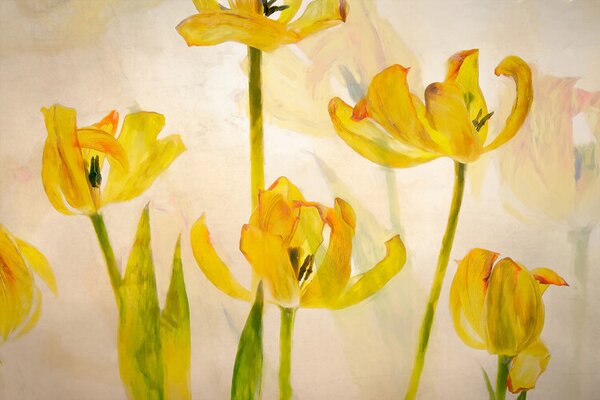 Ilustrație Flowering tulips, Nel Talen, (40 x 26.7 cm)