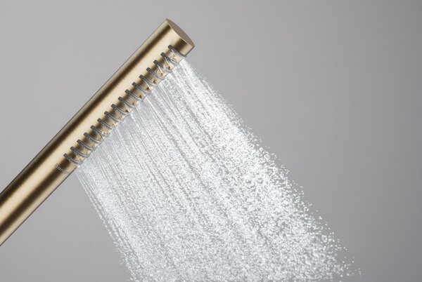Hansgrohe Pulsify S duș de mână maro 24126140