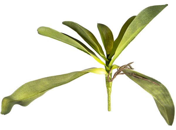 Frunză artificială de orhidee, cu rădăcini, 30 cm