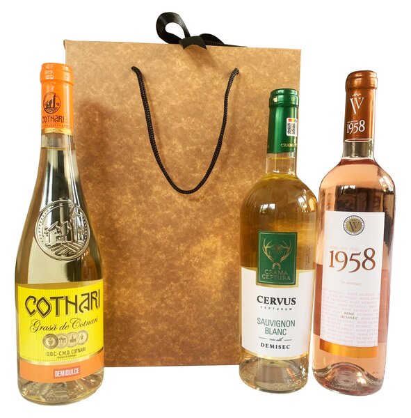 SET 10 Boxbag pungi cadou kraft natur pentru 3 sticle vin (35x25x9 cm)