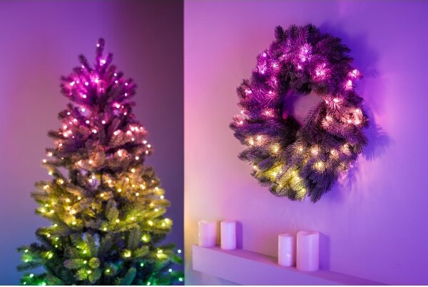 Twinkly GD20P4425P00 - Ghirlandă LED RGB reglabilă 50xLED, pr. 60 cm, Wi-Fi