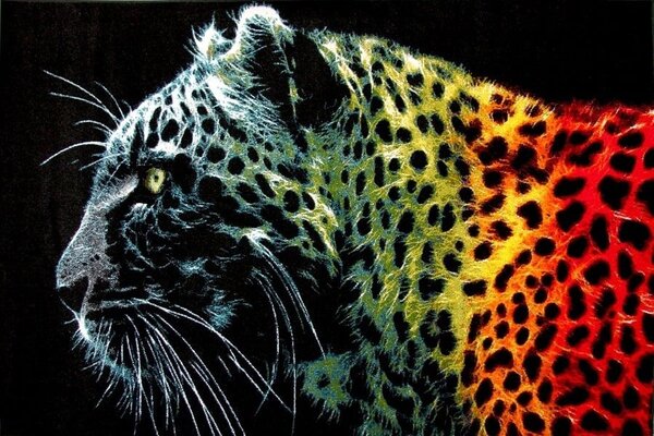 Covor Sufragerie, Model Black Leopard 11016 180, Covor Dreptunghiular, Negru Dreptunghi, 80x150