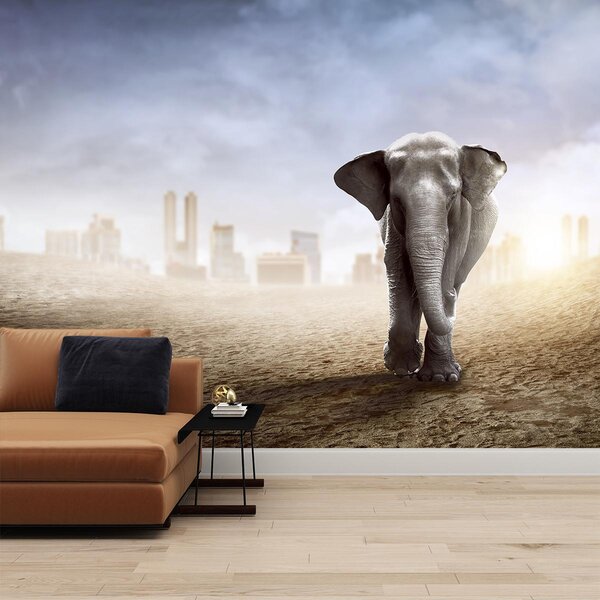 Fototapet - Elefant în oraș (147x102 cm)
