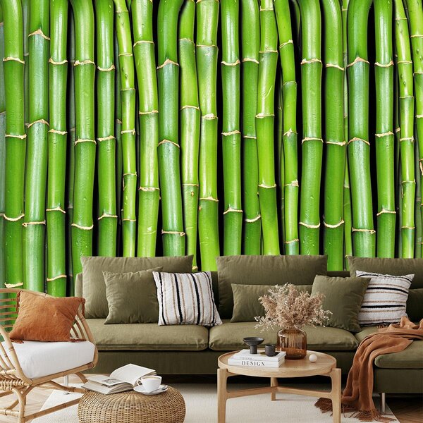 Fototapet - Tulpini de bambus (147x102 cm)