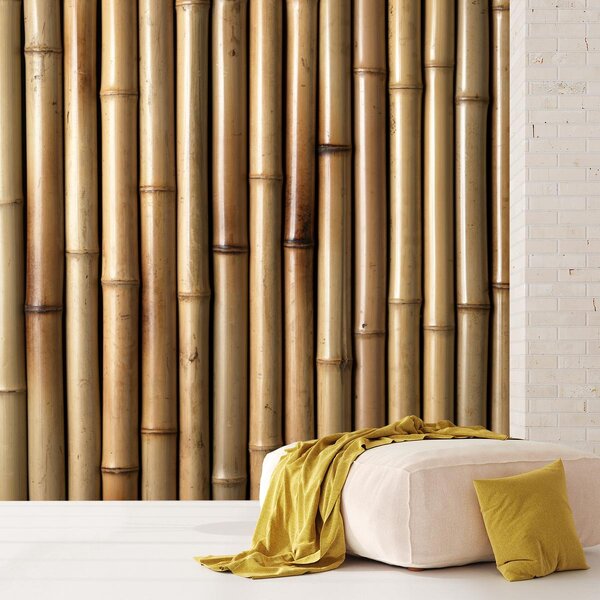 Fototapet - Bambus (147x102 cm)