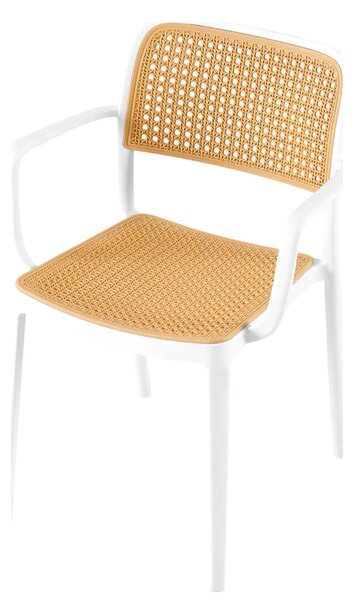 Scaun RAVID TIP 2, bej/alb, plastic, 58x55x82 cm