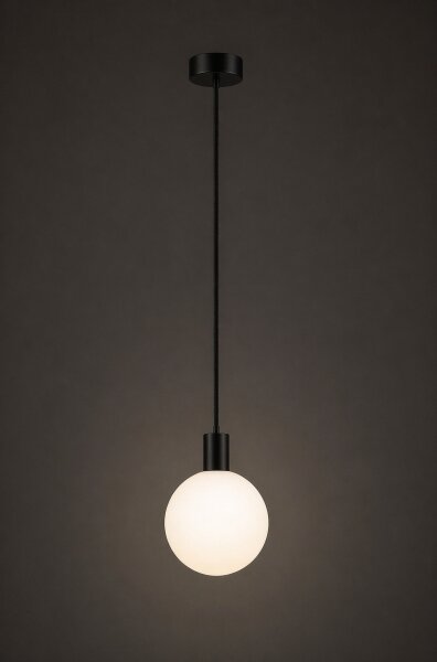 Argon 9005 - Lampă suspendată de exterior pe cablu ORE, 1xG9/6W/230V, neagră