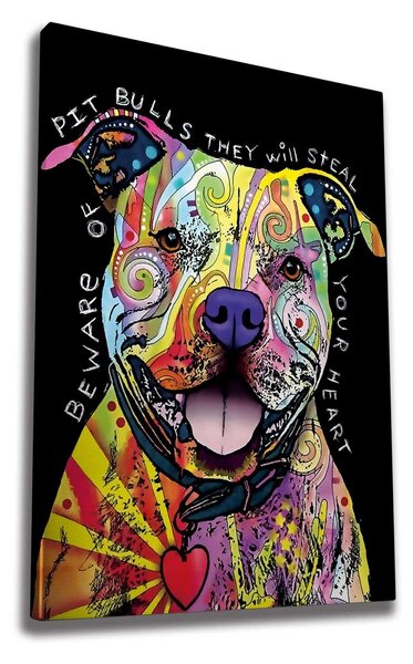 Tablou WY163, multicolor, panza, 70x100 cm