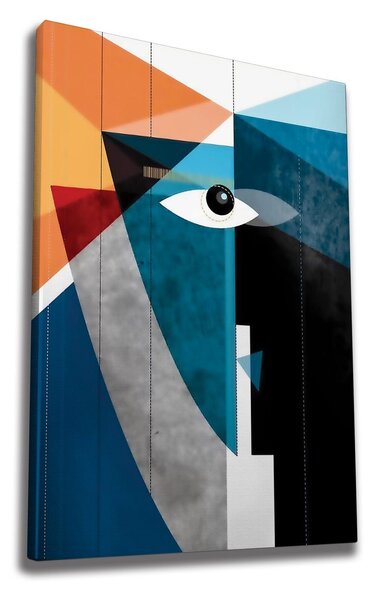 Tablou WY243, multicolor, panza, 50x70 cm