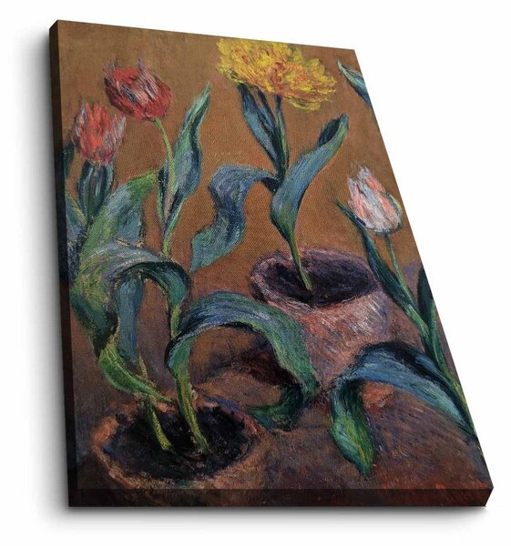 Tablou 678CLD1106, multicolor, panza, 45x70 cm