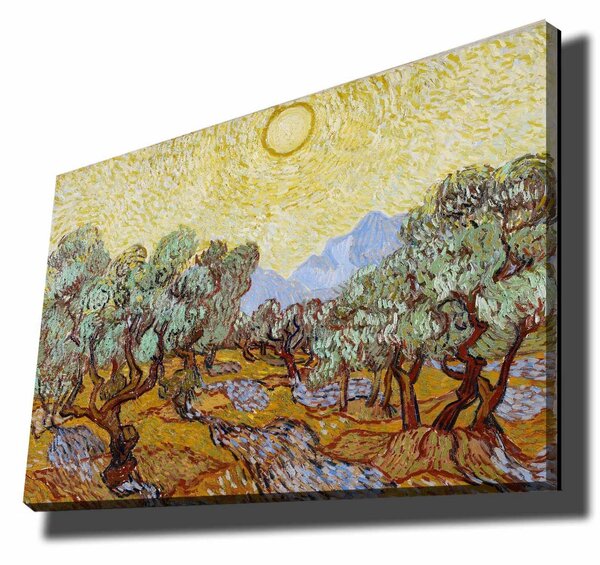 Tablou 978VNC1181, multicolor, panza, 100x70 cm