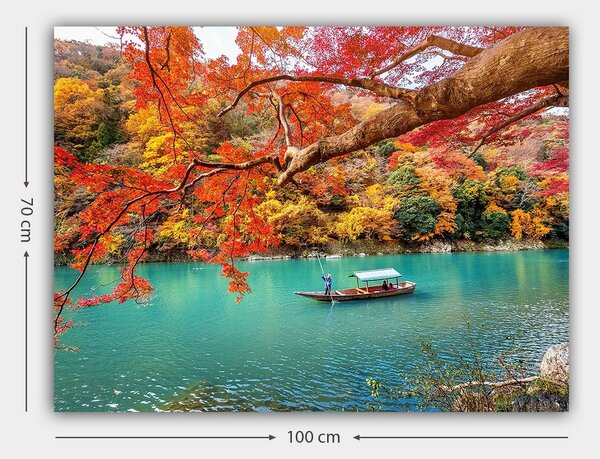 Tablou 441HPE2769, multicolor, panza, 100x70 cm
