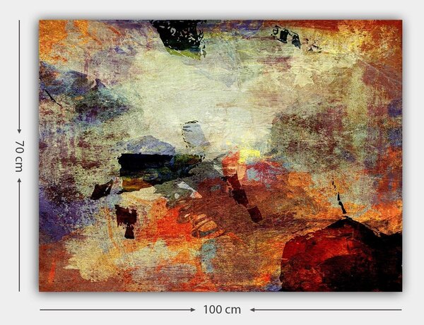 Tablou 441HPE2789, multicolor, panza, 100x70 cm