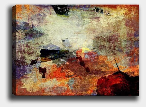 Tablou 441HPE2789, multicolor, panza, 100x70 cm