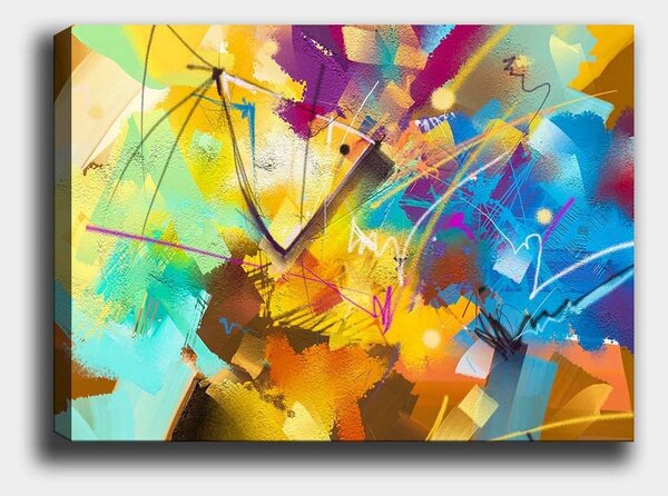 Tablou 441HPE2674, multicolor, panza, 100x70 cm