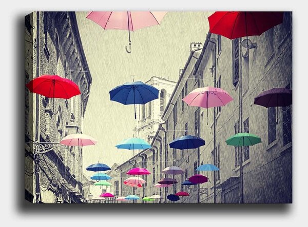 Tablou 441HPE2189, multicolor, panza, 100x70 cm
