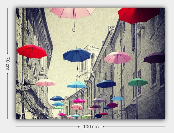 Tablou 441HPE2189, multicolor, panza, 100x70 cm