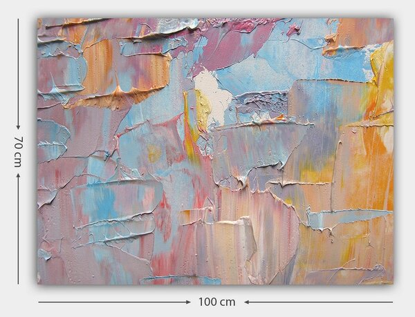 Tablou 441HPE2602, multicolor, panza, 100x70 cm