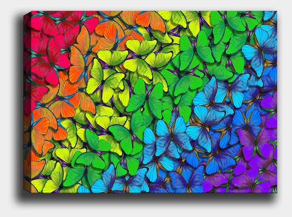 Tablou 441HPE1814, multicolor, panza, 100x70 cm