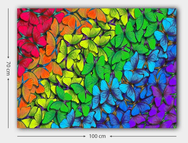 Tablou 441HPE1814, multicolor, panza, 100x70 cm