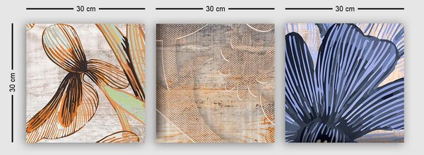 Set 3 tablouri P6615359082, multicolor, panza, 30x30 cm