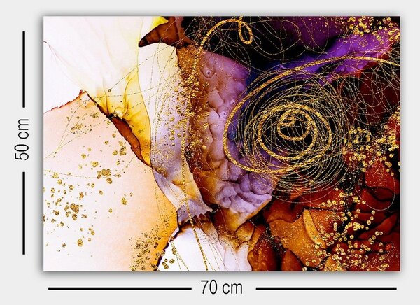 Tablou 529TCR1736, multicolor, panza, 70x50 cm