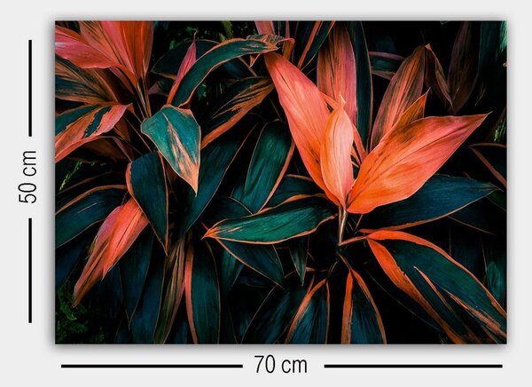 Tablou 529TCR1731, multicolor, panza/lemn, 70x50 cm