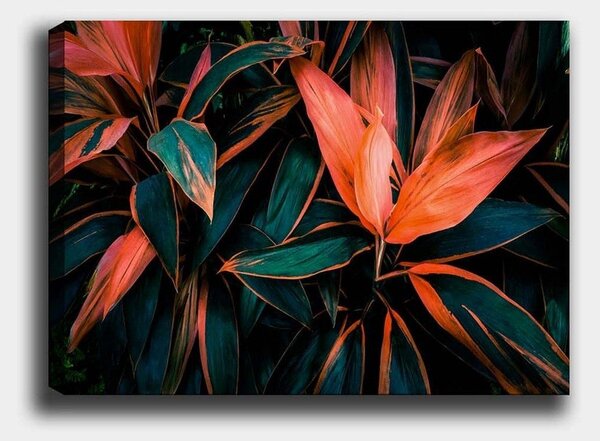 Tablou 529TCR1731, multicolor, panza/lemn, 70x50 cm