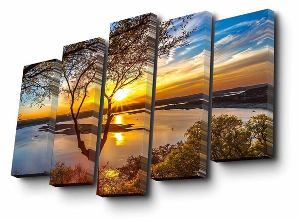 Set 5 tablouri 5PUC-117, multicolor, panza, 82x50 cm