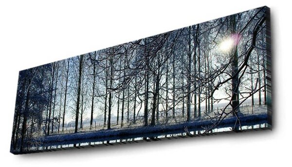 Tablou 3090DACT-37, multicolor, panza, cu iluminare LED, 90x30 cm