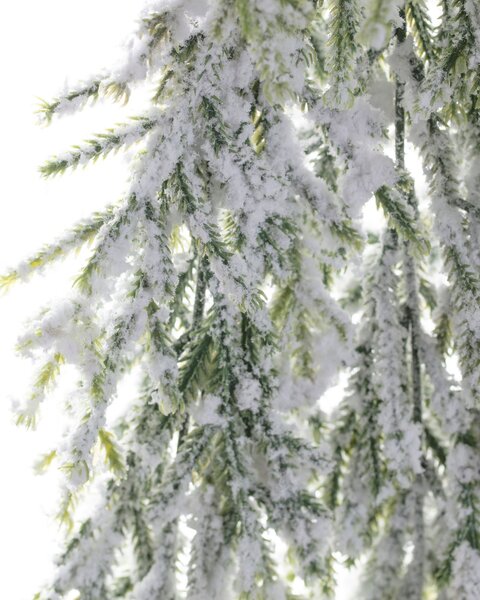 Ramură White Pine 66cm