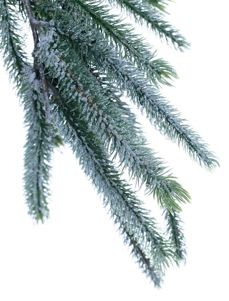 Ghirlandă Pine Tree 200x10x10cm