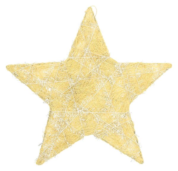 Decorațiuni de Crăciun Golden Star II 25 cm
