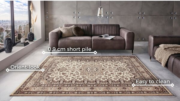 Covor Nouristan Parun Tabriz, 80 x 150 cm, bej