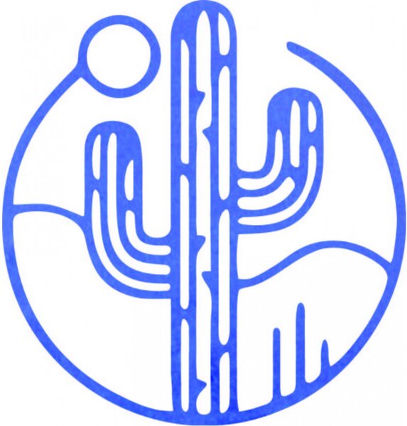 Imagine de perete din lemn a unui cactus cu soarele - MONK