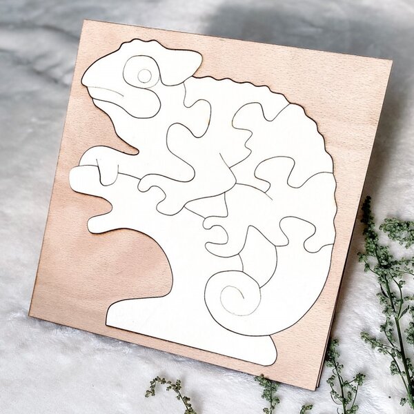 Bicolor insert montessori din lemn pentru copii - CAMELEON PLOP | SENTOP