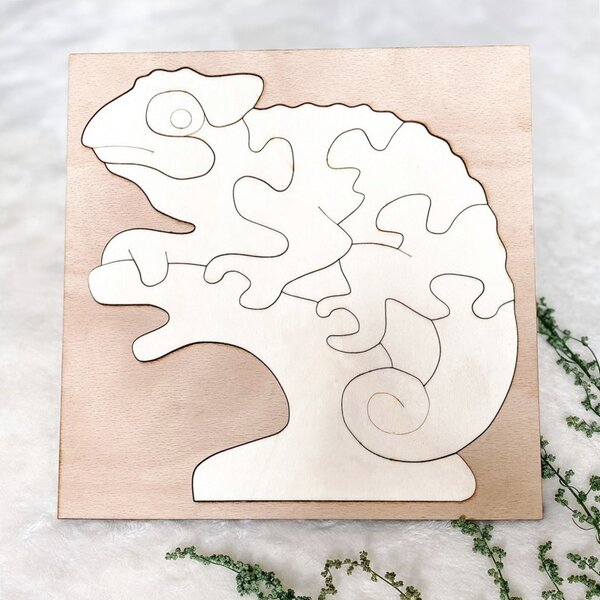 Bicolor insert montessori din lemn pentru copii - CAMELEON PLOP | SENTOP