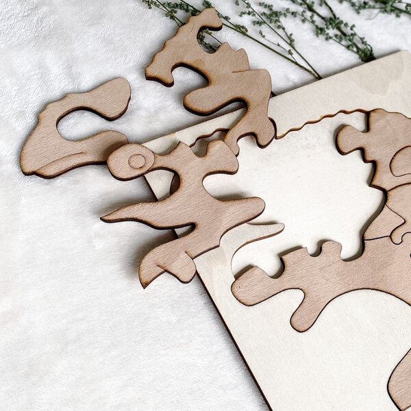 Bicolor insert montessori din lemn pentru copii - CAMELEON FAG| SENTOP