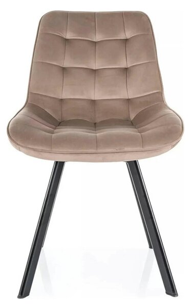Scaun MONTI, bej inchis - Bluvel 40, stofa catifelata/metal, 51x60x88