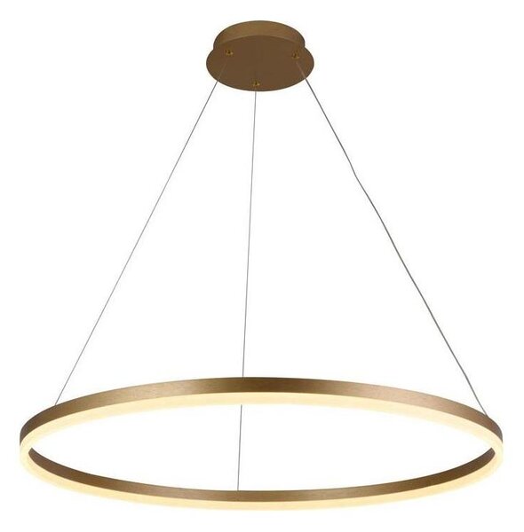 Brilagi - Pendul LED CIRCLE reglabil pe cablu, 55W/230V, 3000-6500K, auriu + telecomandă
