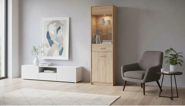 Vitrina NEPO PLUS, stejar sonoma, PAL laminat/sticla, 60x34x197 cm