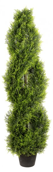 ZYPRESSE, Twist, la ghiveci, verde, h.120 cm