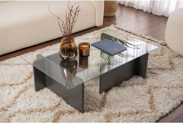 Masuta cafea FLAVIO, gri antracit/transparent, PAL/sticla, 105x65x30 c