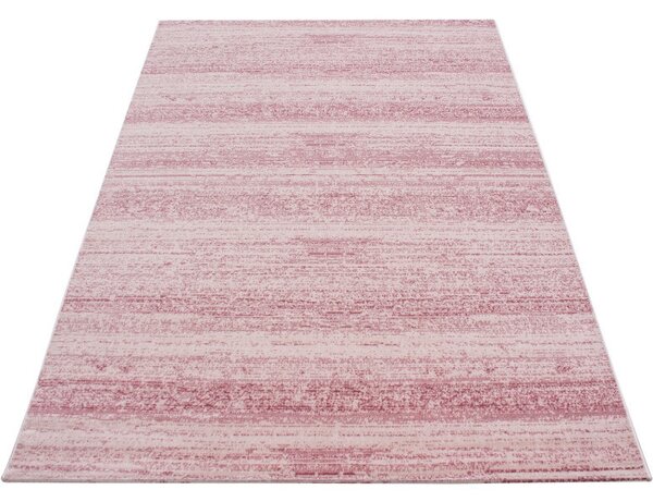 Covor Plus Roz V1 160x230 cm
