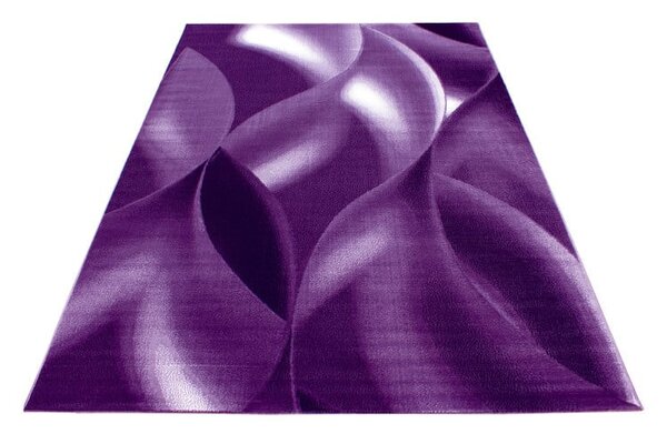 Covor Plus Lila V2 120x170 cm