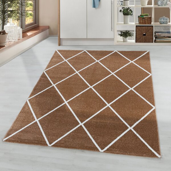Covor Rio Aramiu V2 80x150 cm