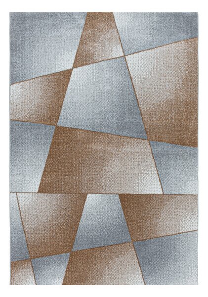 Covor Rio Aramiu V4 120x170 cm