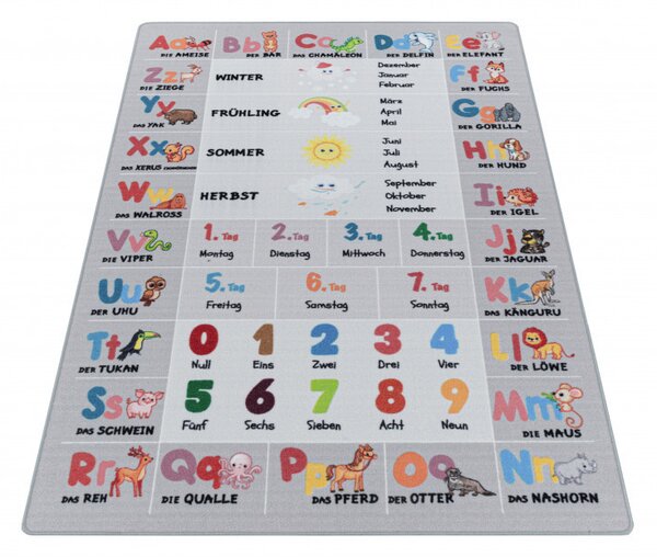 Covor Play Gri V4 80x120 cm